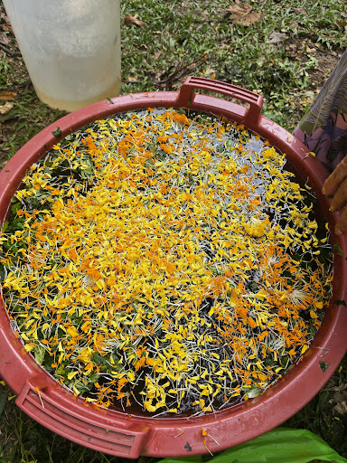 Photo from customer review