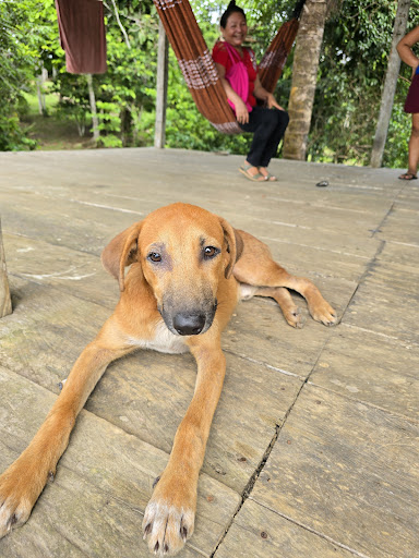 Photo from customer review