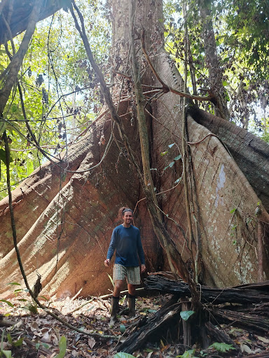 Photo from customer review