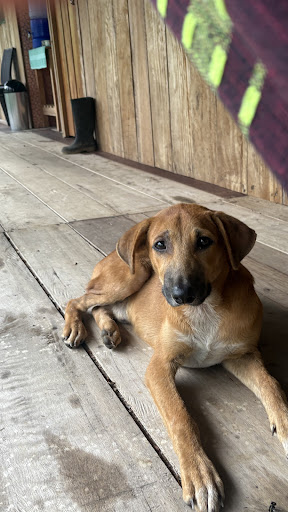 Photo from customer review