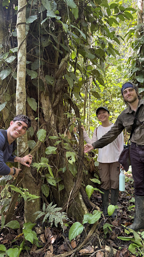 Photo from customer review