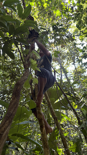 Photo from customer review