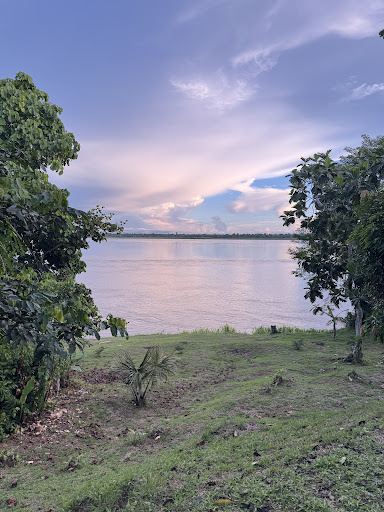 Photo from customer review