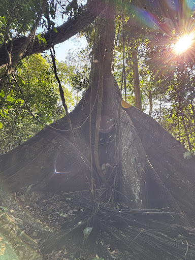 Photo from customer review