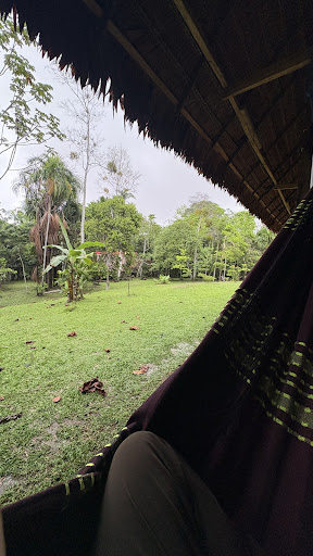 Photo from customer review