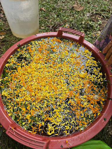 Photo from customer review