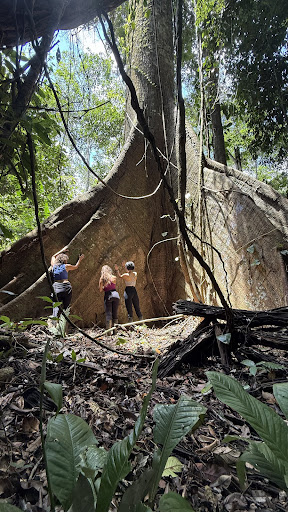 Photo from customer review