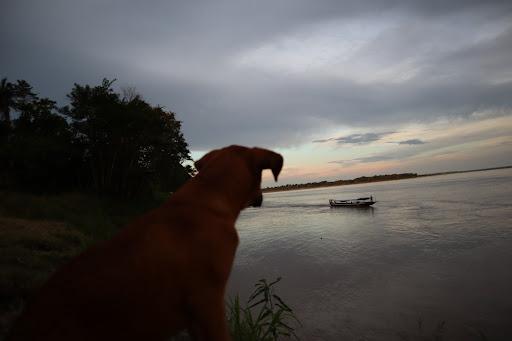 Photo from customer review